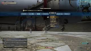 [FF14]極ゾラージャ討伐隊