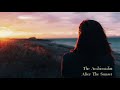 The Ambientalist After The Sunset
