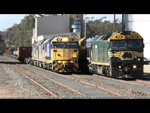 8157-BL30-33 on 7901V pass  G539-X50-G523 loading at Dunolly Sub.  25-09-21.