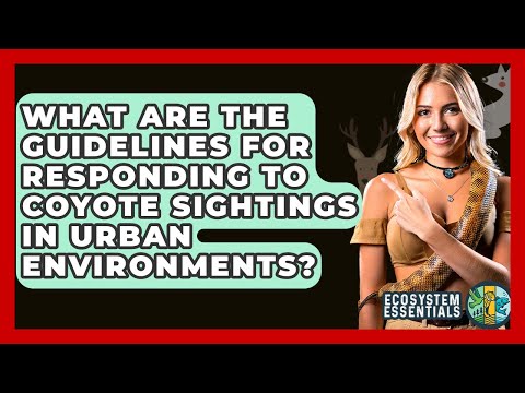 What Are The Guidelines For Responding To Coyote Sightings In Urban Environments?