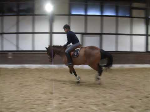 CALA PI 7j. v. Check In - Quantus VB 7.000,- Euro