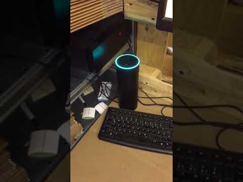 Alexa druckt JTL Artikeletiketten