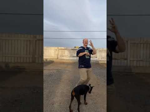 SHANTA BAI🔥| FEAT RICKY POND #shantabai #rickypond