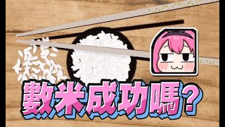 [閒聊] 數 米粒 遊戲... 