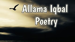 Likhna Nahi Ata To Allama Iqbal Poetry WhatsApp St