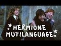 MULTILANGUAGE Harry Potter And The Prisioner Of Azkaban 8 VERSIONS