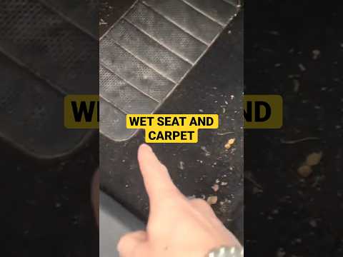 Check This Before You Get WATER Inside Your VW!