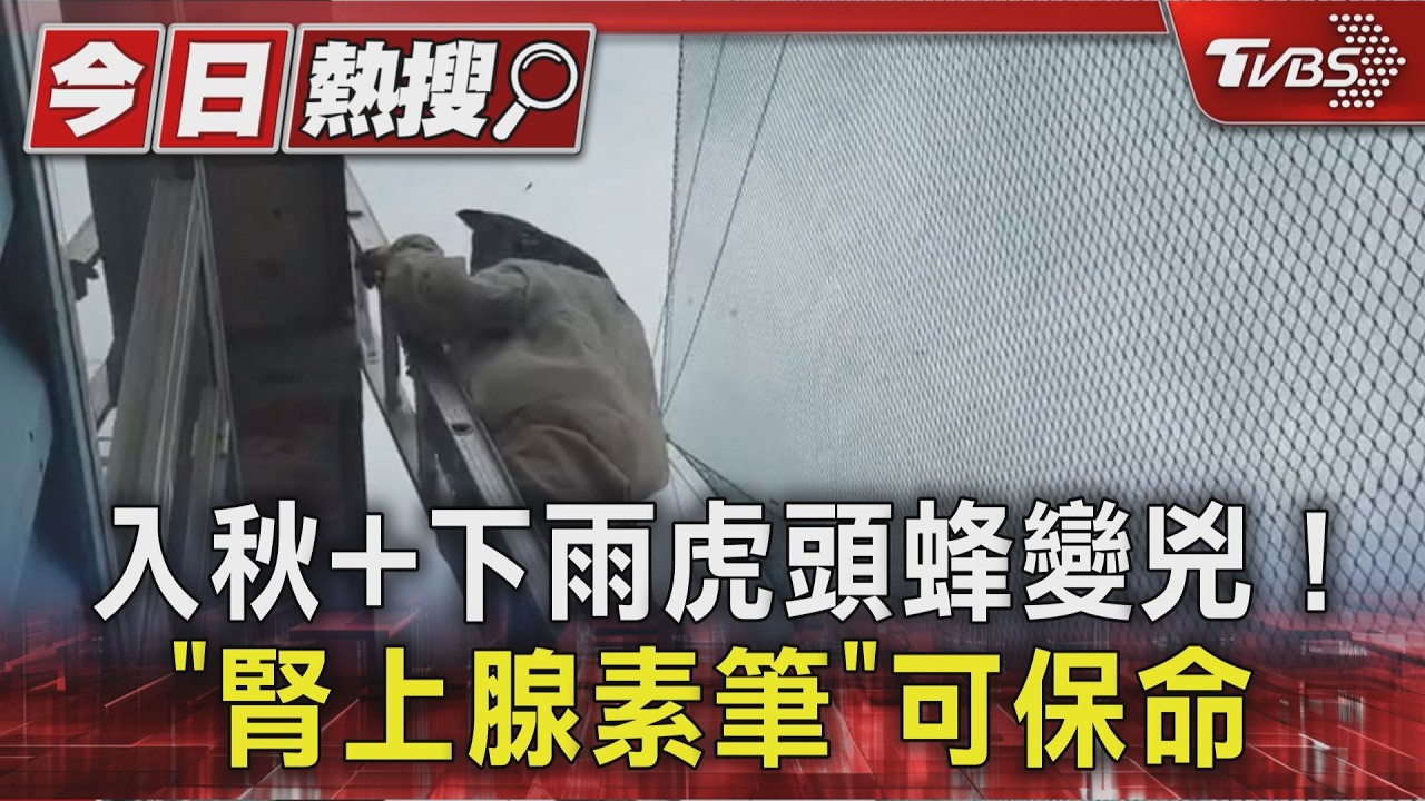 影音/入秋+下雨虎頭蜂變兇! 爬山必備「腎上腺素筆」可保命