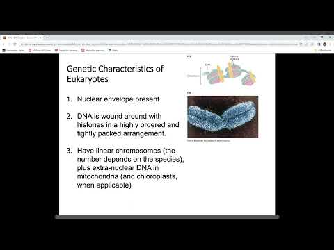 BIOL 2416 Chapter 2 Part 1 Lecture recording