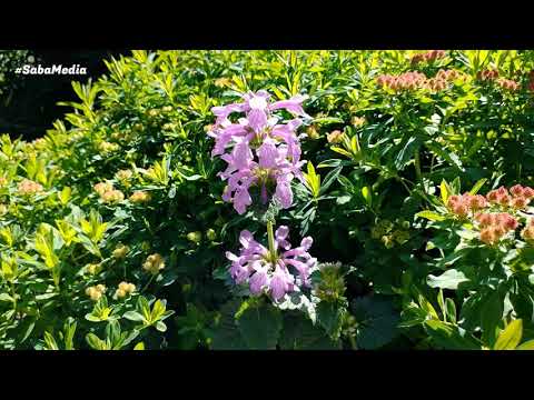 Enköping Sweden / Sverige May 2020