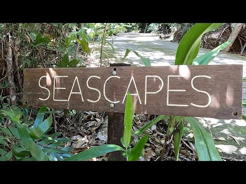 35 Kauri Close, Daintree, QLD 4873, 3 phòng ngủ, 1 phòng tắm, House