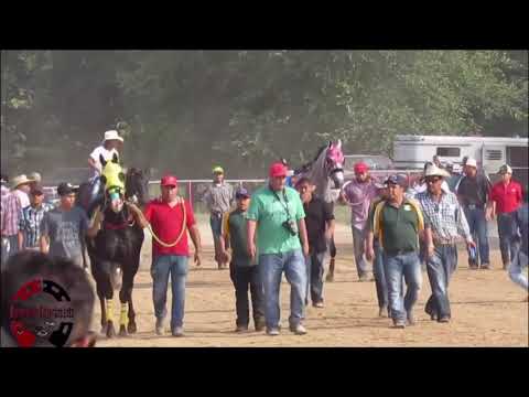 Manuel Gutierrez (el caritas) uno de los mejores jockey’s sin lugar a duda