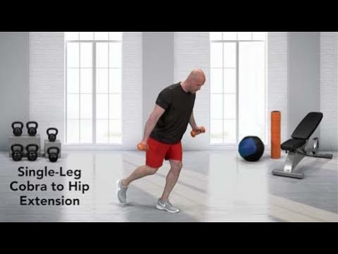 Single-Leg Cobra to Hip Extension