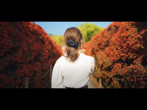 【京都府長岡京市】長岡京の初夏