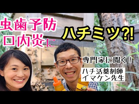 漢方薬学科 【ハチミツ対談１】口内炎や虫歯予防にも⁈ハチミツパワー〜前編〜【漢方・薬膳】♯54
