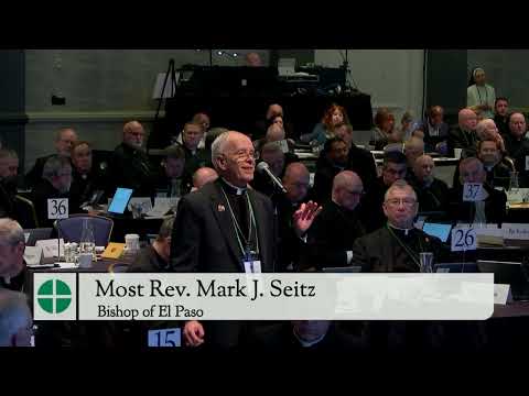 USCCB November Plenary 2025 - Day One Afternoon Session (2 of 2)
