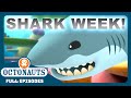 Octonauts 🪸 The Great White Shark Season 2 Full Episodes Cartoons For Kids