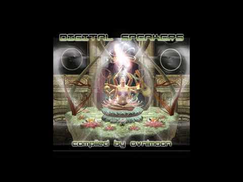 Digital Tribe - Electro noise