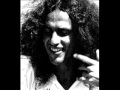 Caetano Veloso - Rock´N´Raul