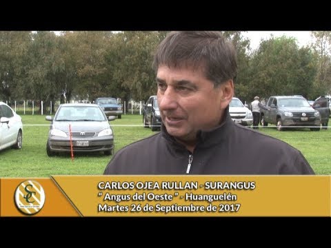 26-09-17 - CARLOS OJEA RULLAN - SURANGUS - ANGUS DEL OESTE
