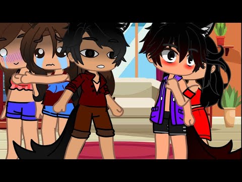 [How to calm an angry Ultima (Pomeranian)|| {Aphmau my street starlight} ~Aarmau 💜❤~