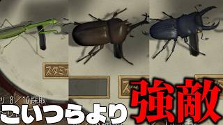キングカブトを倒したはずの虫相撲にとてつもない刺客が現れました。8月10日【ぼくのなつやすみ３実況】