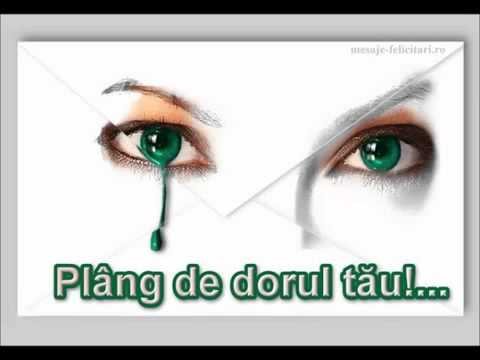 Marius de la Focsani & Nicoleta - Plange tatal meu.avi
