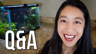 Your Questions Answered! | My Favorite Fish, Ancestry, Work
