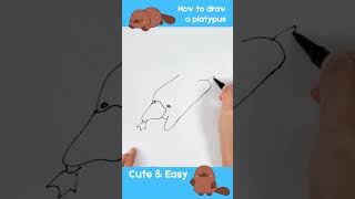 How to Draw a Platypus - Easy and Cute Tutorial! #drawingtutorial #platypus