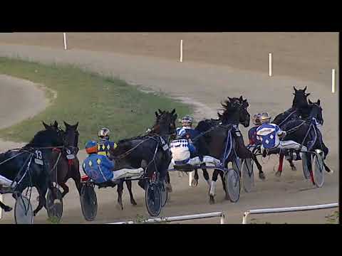 Napoli Trotto 10/10/2023 - 8ª corsa