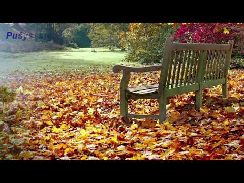 N.Lapinskienė "Rudens valsas"