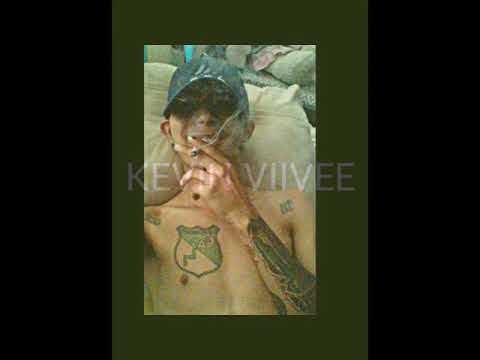 KEVIN VIIVEE -- TREBOL DISTRITAL