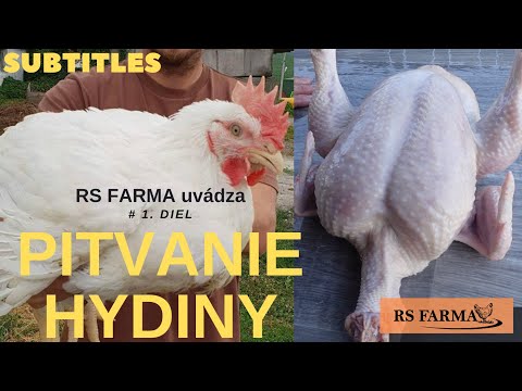 , title : 'Pitvanie hydiny - Chicken Evisceration Tutorial "Subtitles" # 1'
