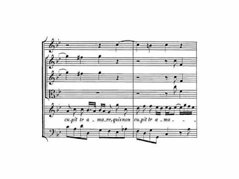 Händel: HWV 242 - Silete venti (2/4) - Gauvin (Labadie)