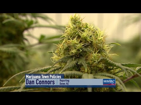 NJ Dover Marijuana Town Policies