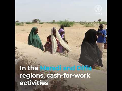 How FAO’s Anticipatory Actions protect rural livelihoods in the Niger