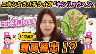 難問続出！？ニホンミツバチ捕獲の強い味方キンリョウヘン知識10問！