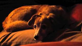 Louise, Time to put yourself together. C'mon.m4v