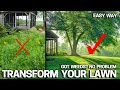 First Step To Fixing An Ugly Lawn Where To Start