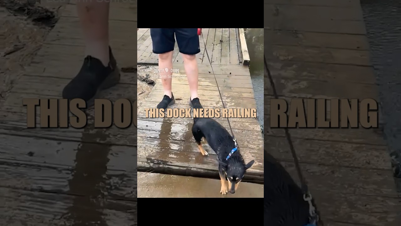 This dock needs railing 🎥: leaannschroeder IG (video submission) #shorts