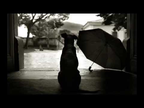 Rafael Canaro - "Garúa"