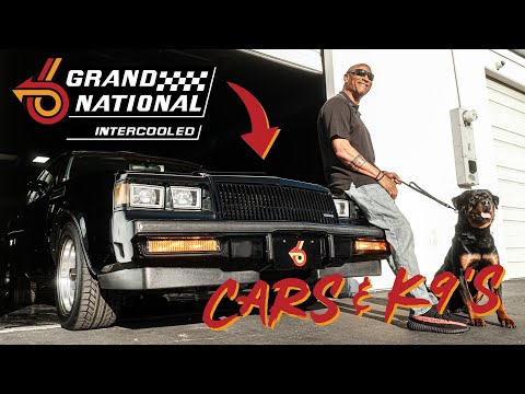 The Buick Grand National Is the Ultimate 1980s Muscle Car