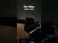 Für Elise Beethoven Piano Cover With A Twist Pianocover Piano