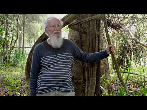 Evangelho do Padrinho Sebastião - Alex Polari