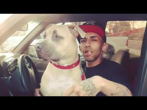 Tarpey Village murder suspect says he acted in self-defense