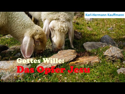 Gottes Wille: das Opfer Jesu - Karl-Hermann Kauffmann