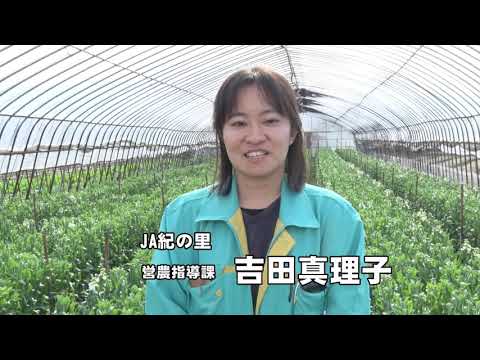 202010令和2年産「和歌山」の花