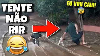 TENTE NÃO RIR: OS MELHORES VÍDEOS DA INTERNET #videosengracados #tentenaorir #humor #comedia #tiktok