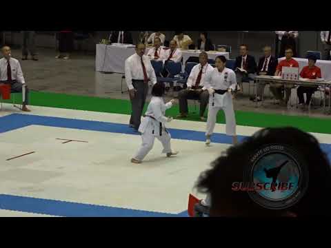 The 60th All Japan Karate do Championship - Ladies Kumite Semi Finals