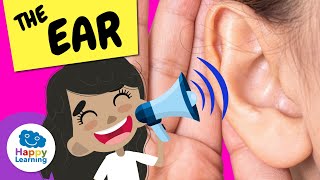 👂🎧 THE EAR | Natural Science Educational Videos for Kids | @HappyLearningENG